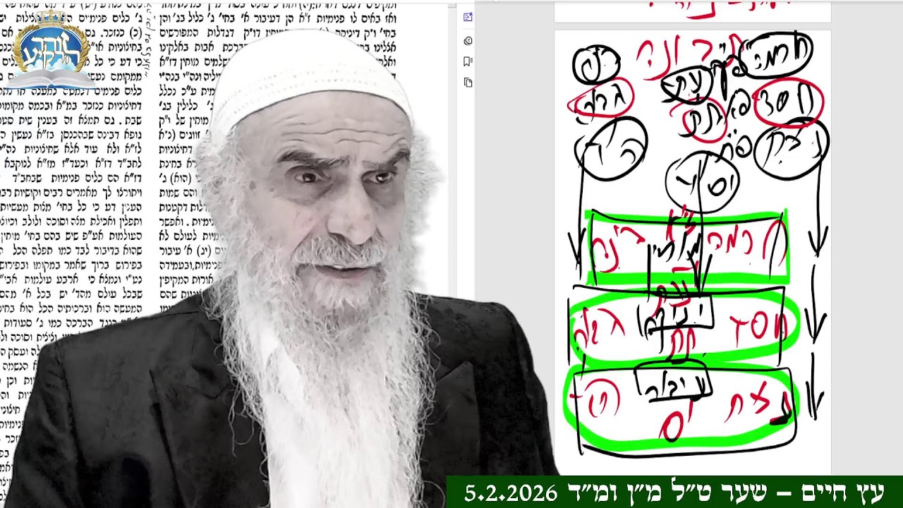 עץ חיים - עיבור יניקה ומוחין, אור וכלי, חיצוניות ופנימיות