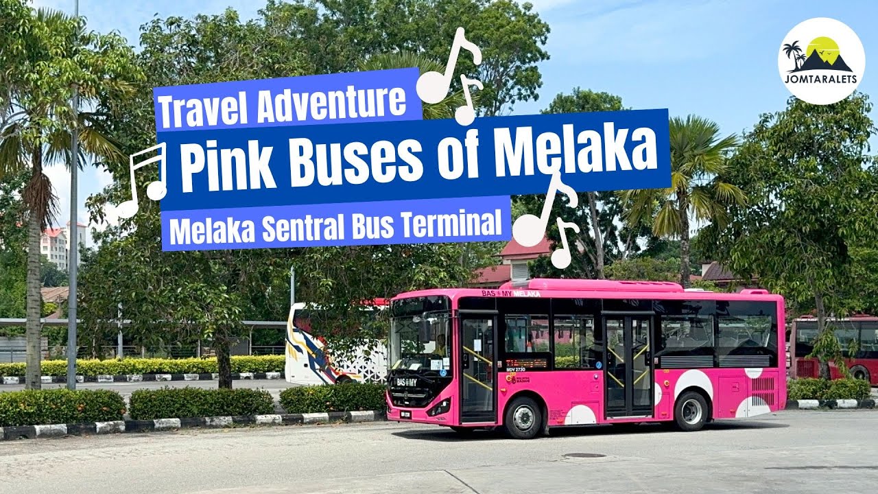 SBST Pink Electric Buses: An Addition to Public Transportation  in Melaka🚍✨