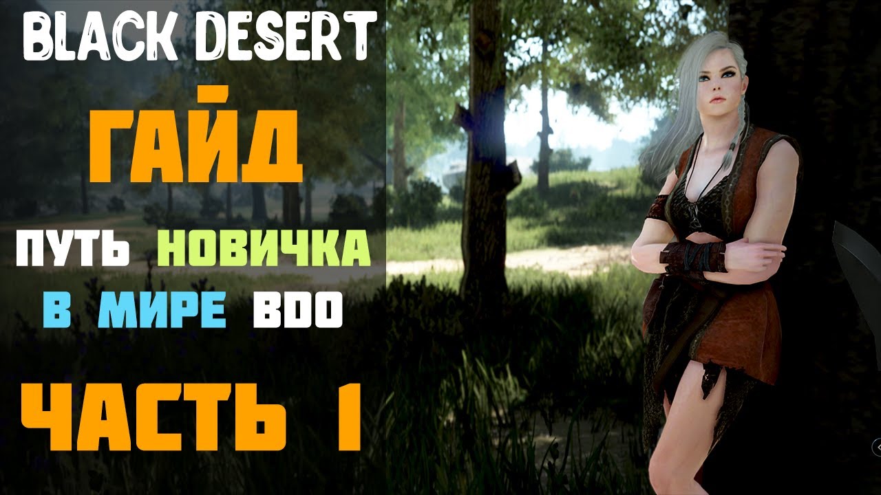 Гайд - Путь Новичка в мире BDO в 2020 году! Часть №1! [Black Desert]
