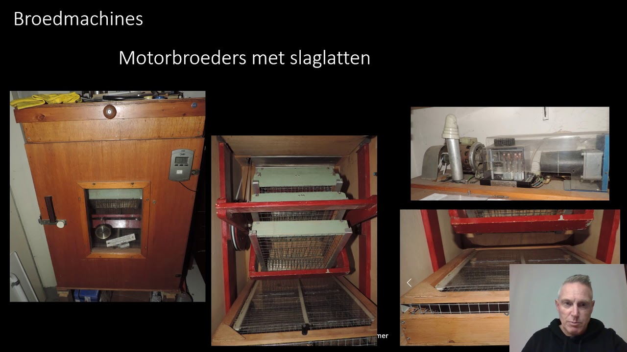 Het uitbroeden van eieren, wat is er over te vertellen.