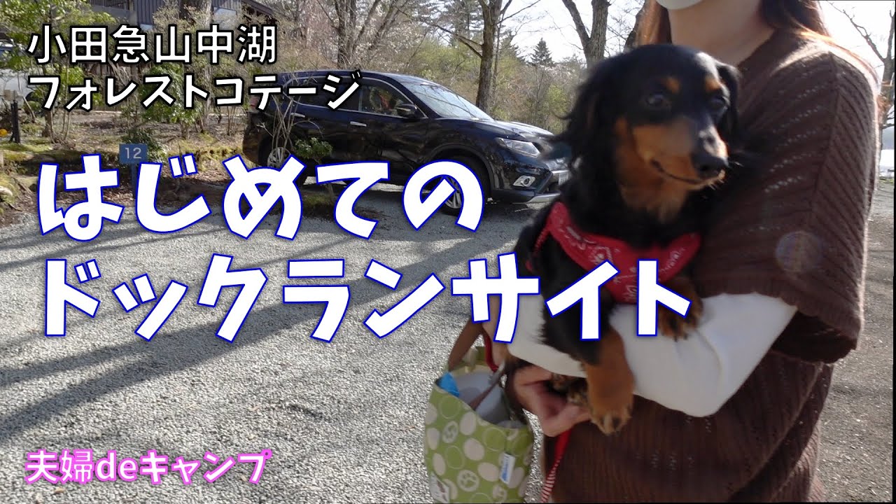 【夫婦キャンプ】小田急山中湖フォレストコテージ　犬連れキャンプなら一度は利用したいドックフリーサイト！　（1日目）
