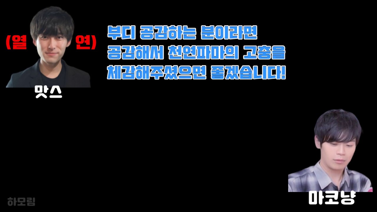 [영험연구소] 곱슬머리 마코냥의 조언🐱