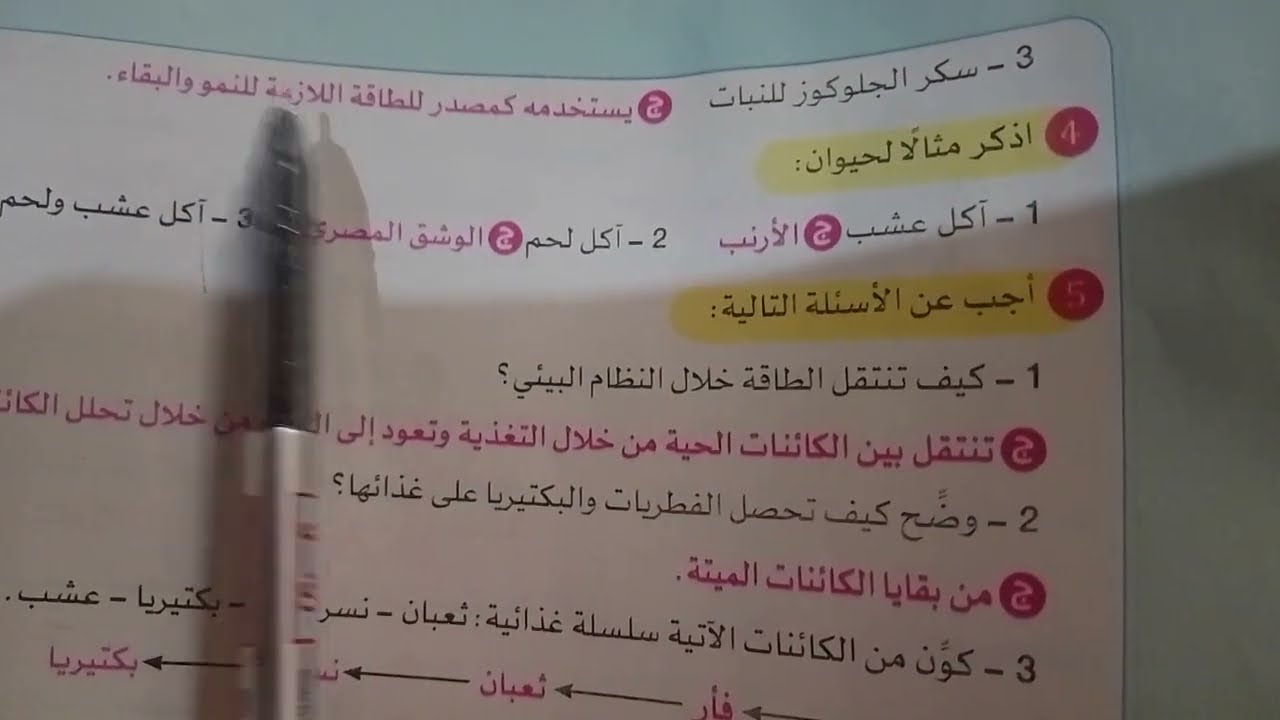 #حل #مراجعة أسئلةامتحانات الأعوام السابقة #علوم #خامسة ابتدائي 2026 ترم1مراجعة لن يخرج عنها الامتحان
