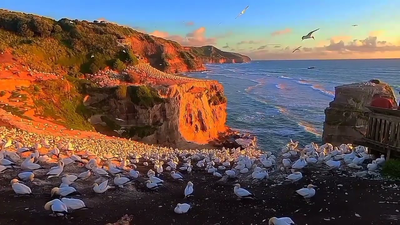 Wonderful Sunset