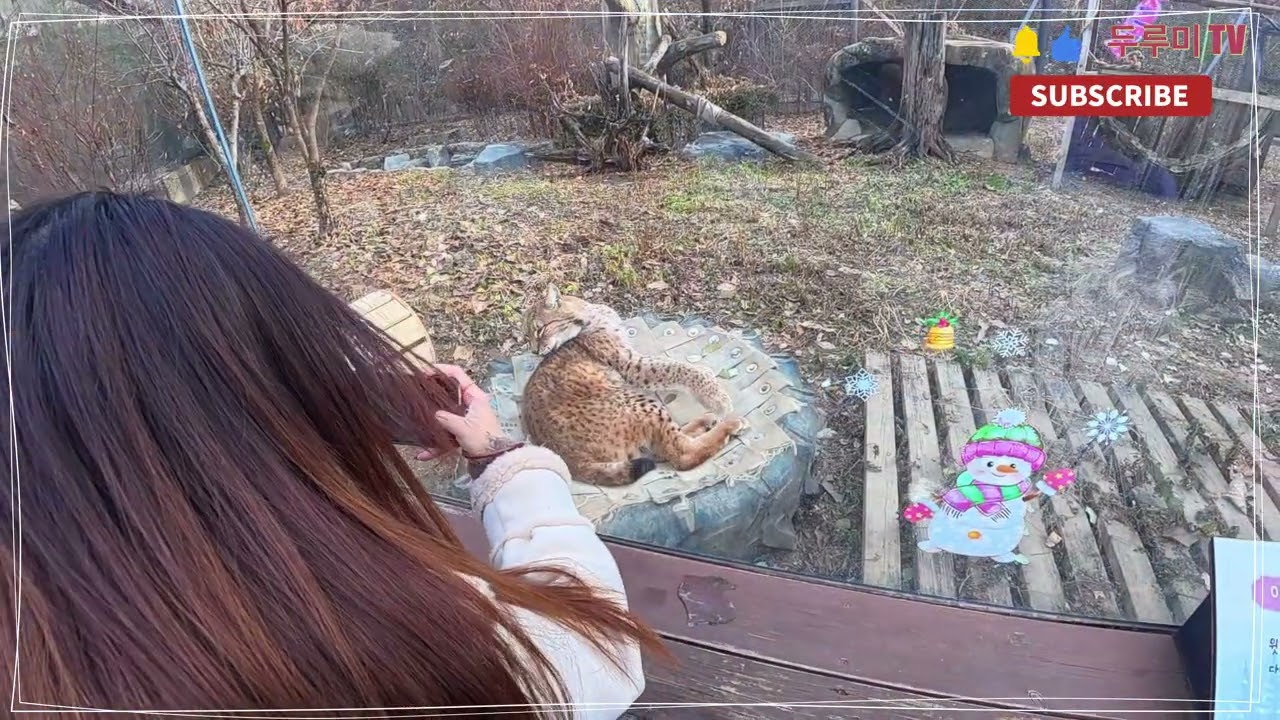 서울동물원 이거 맞나요? 와 진짜 너무하네요