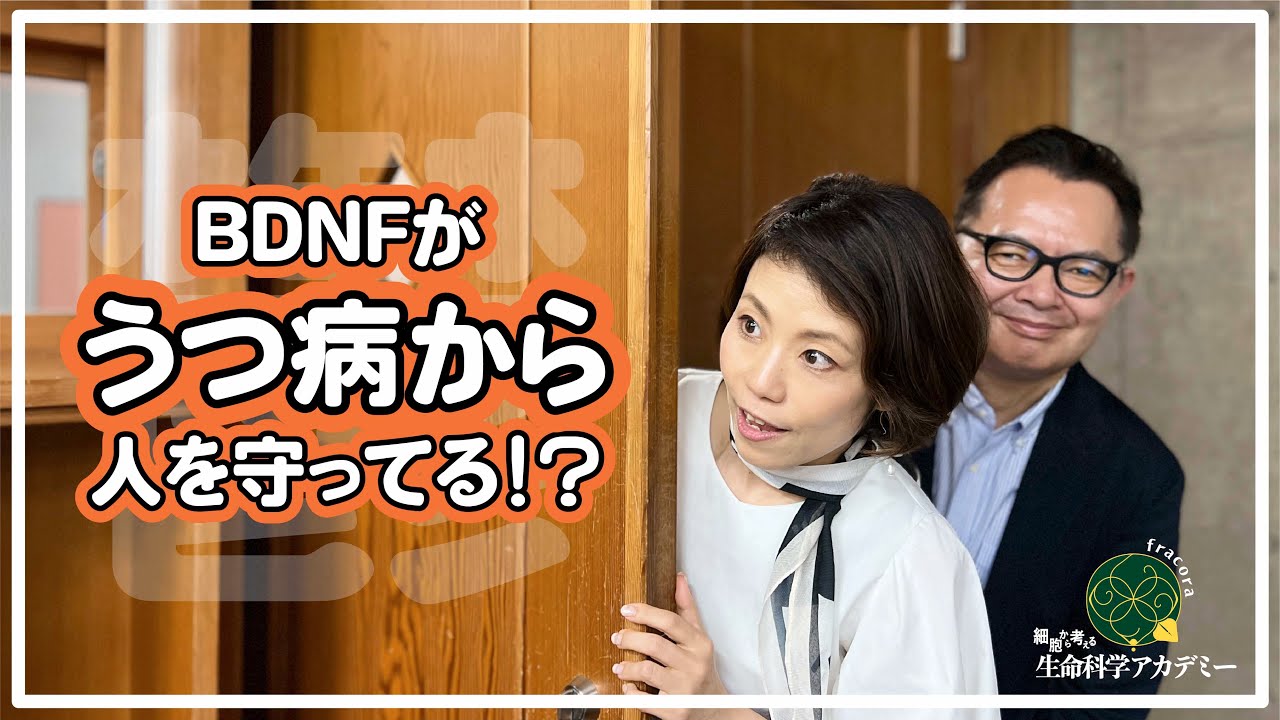 うつ病はいつ発症してもいい　ツボ押しも効果あり！｜#02 金沢工業大学 小島正己先生