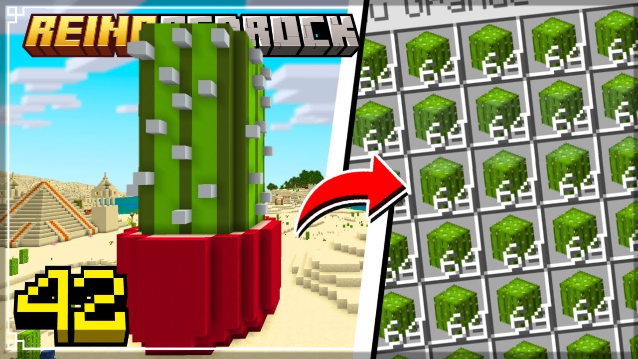 Farm de cactos minecraft bedrock 1.21+ REINO BEDROCK #42