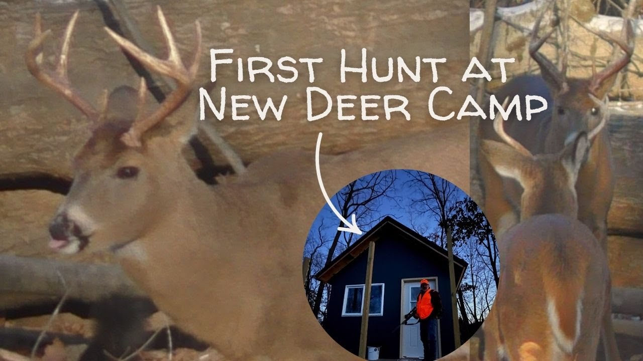 Exciting First Hunt at the New Deer Cabin | Wisconsin Deer Hunting Season 2024