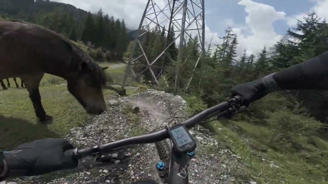Marienberg Trail & Fun Trail in Biberwier Zugspitzarena