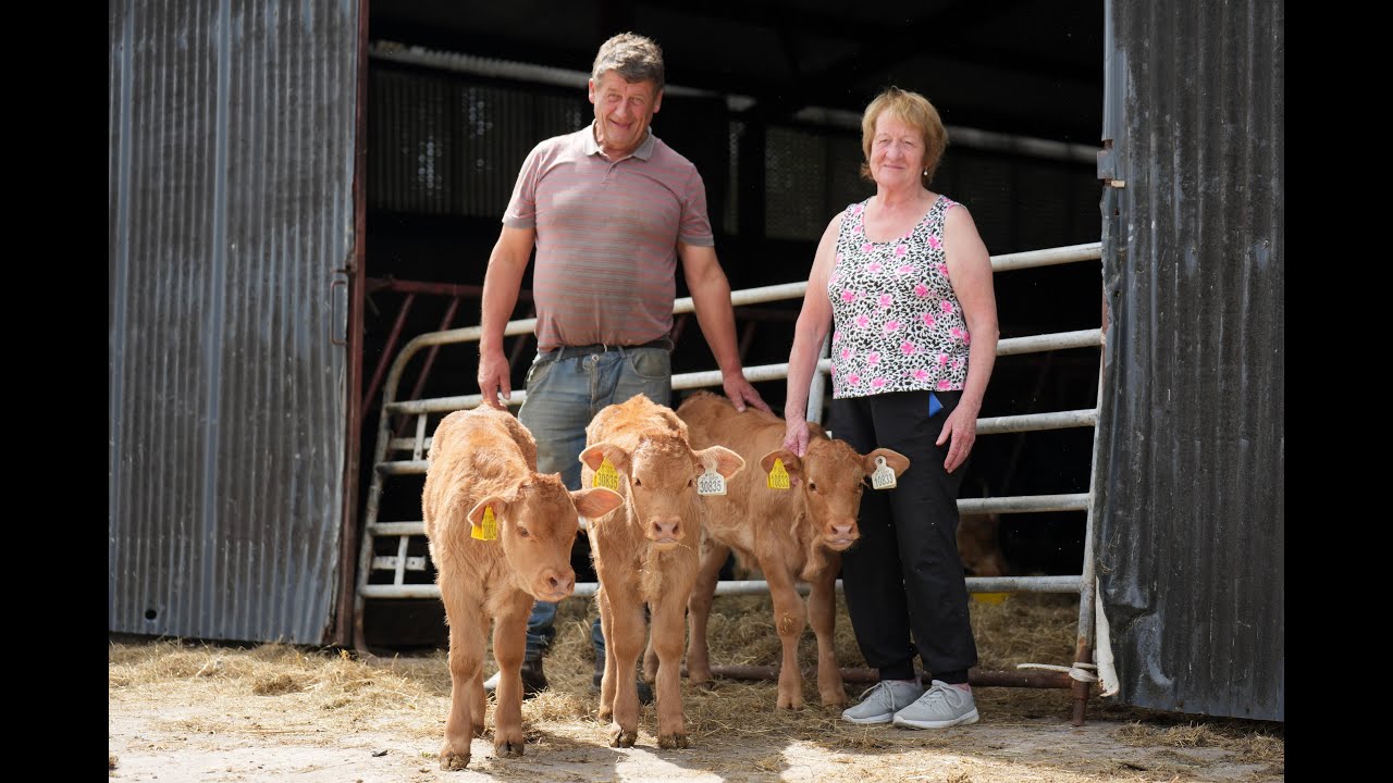 1 in 105,000 Calving on the Williamson Family Farm