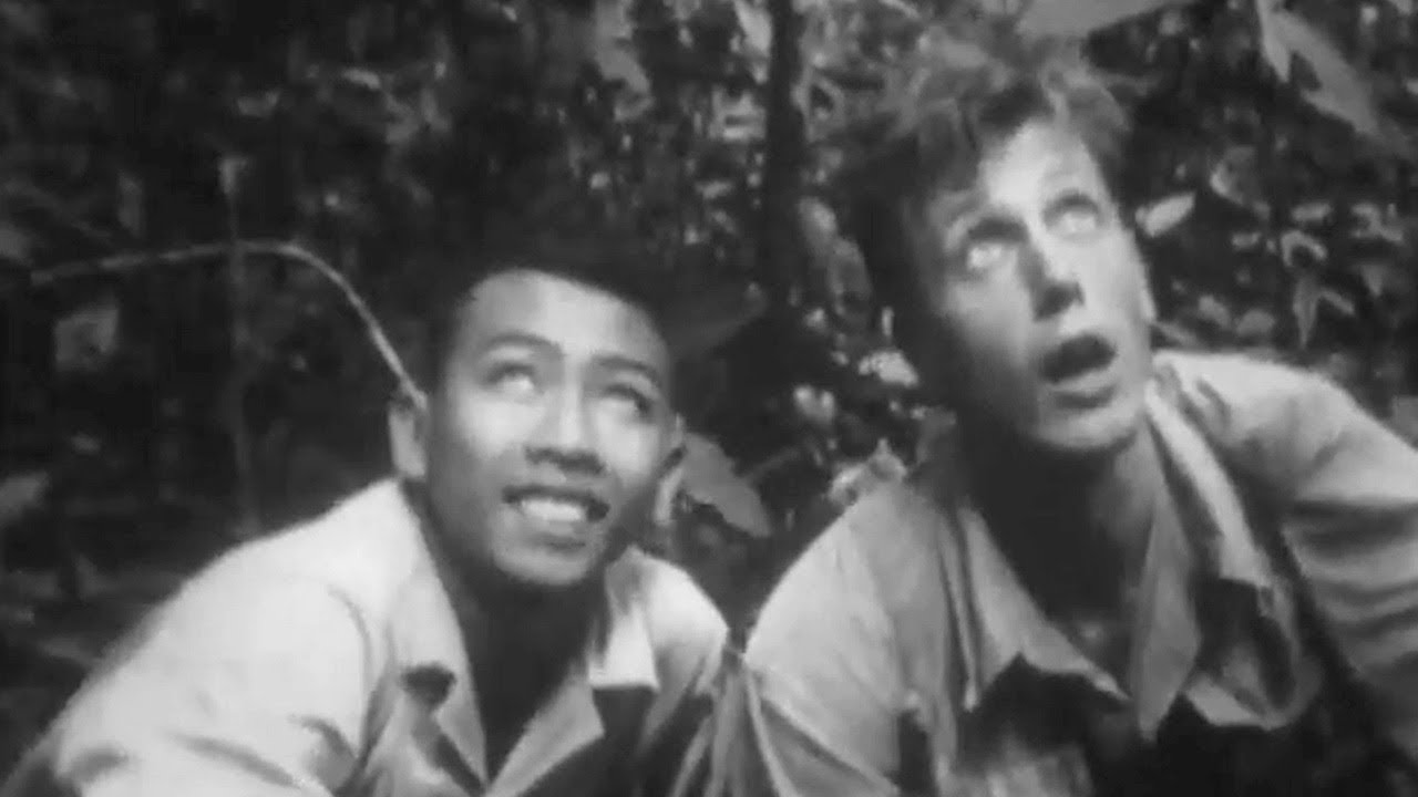 Old-school David Attenborough | A Look Through The Archives | BBC Earth