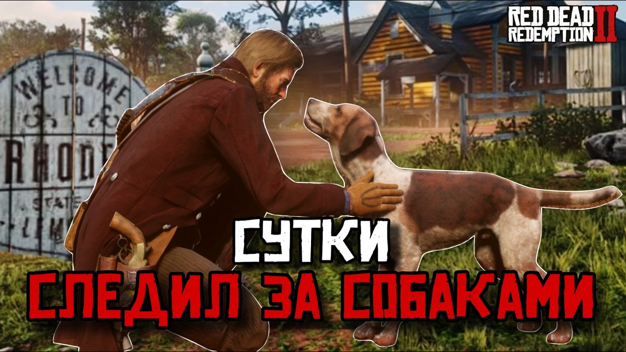 Я сутки следил за собаками в RDR2 и то что я нашел....