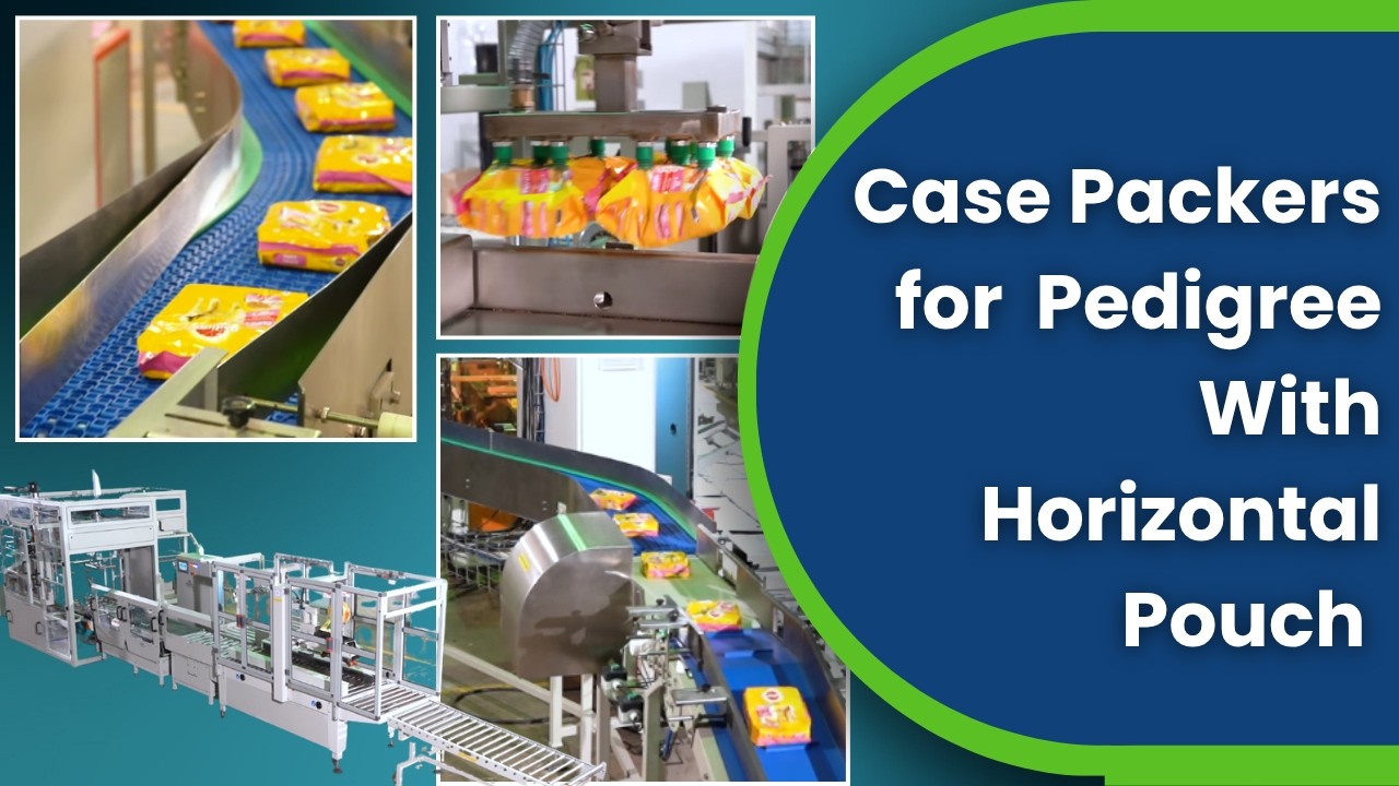 Automated Case Packers for Pouches | Automatic Case Packer