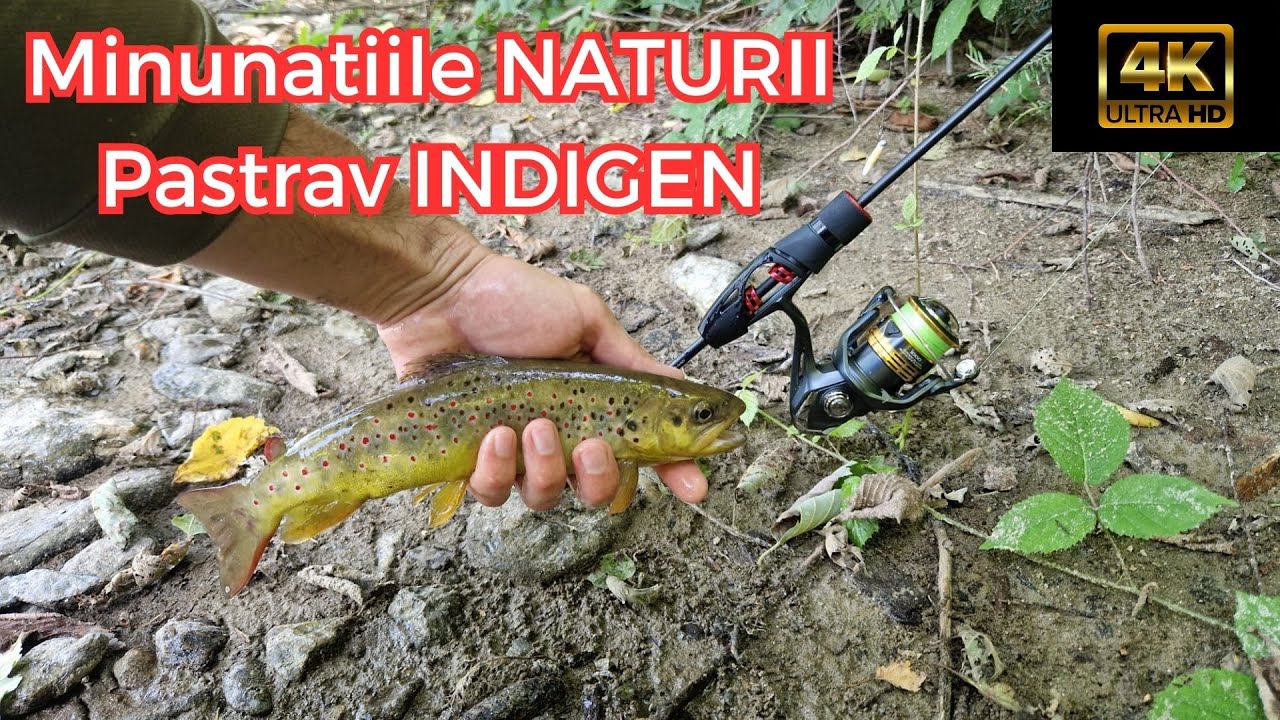 🎣🧸 In mijlocul NATURII pe rau de MUNTE la PASTRAV ! L-am intalnit pe @AlexBucur pe rau in amonte