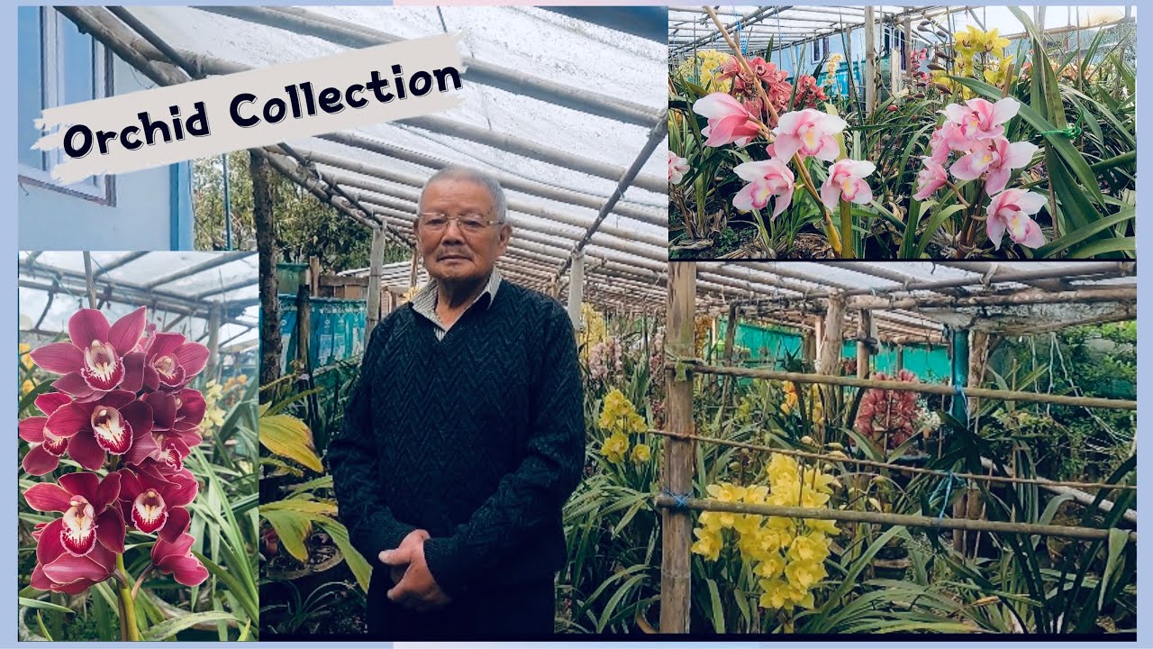 Orchid Tour With Papa || Papa’s Collection || Year 2022