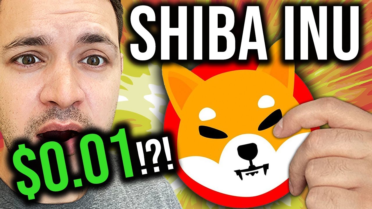 Shiba Inu Coin to $0.01? buy now? The truth!