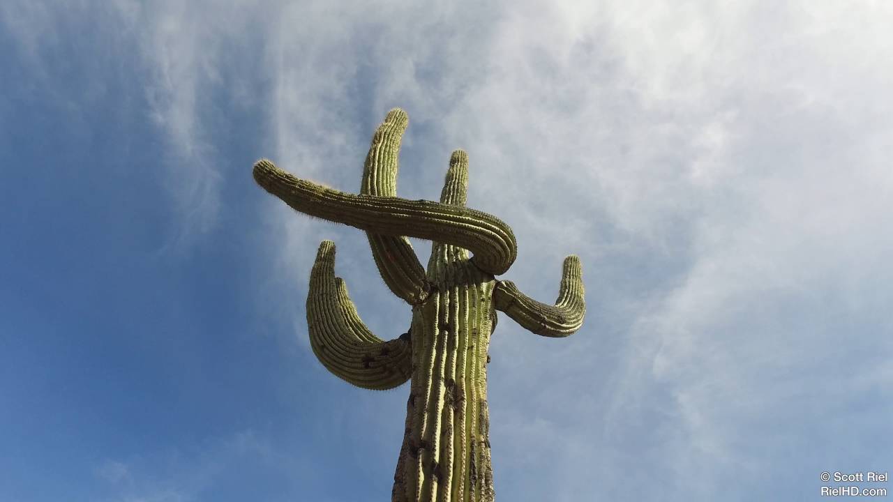 Lousley Hill Trail full hike - Scottsdale Arizona