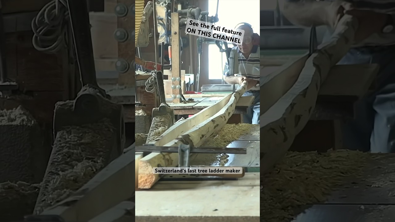 Discover Switzerland's last tree ladder maker