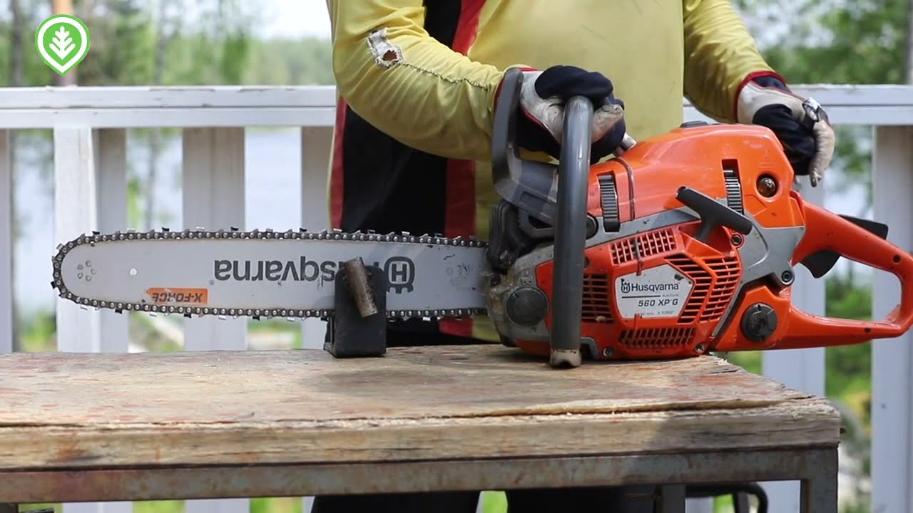 Näin viilaat moottorisahan teräketjun | Metsälehti