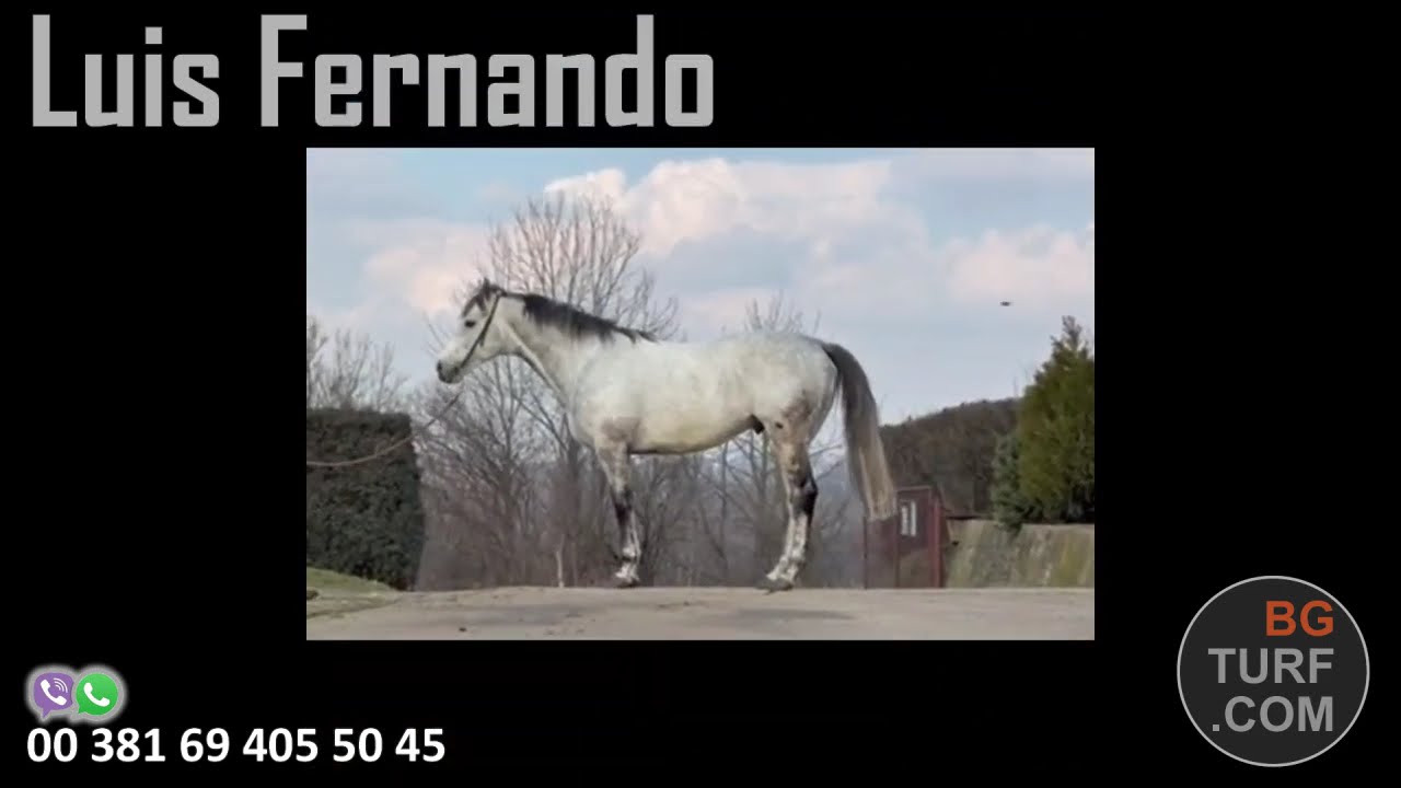 Luis Fernando - pastuv za 2026