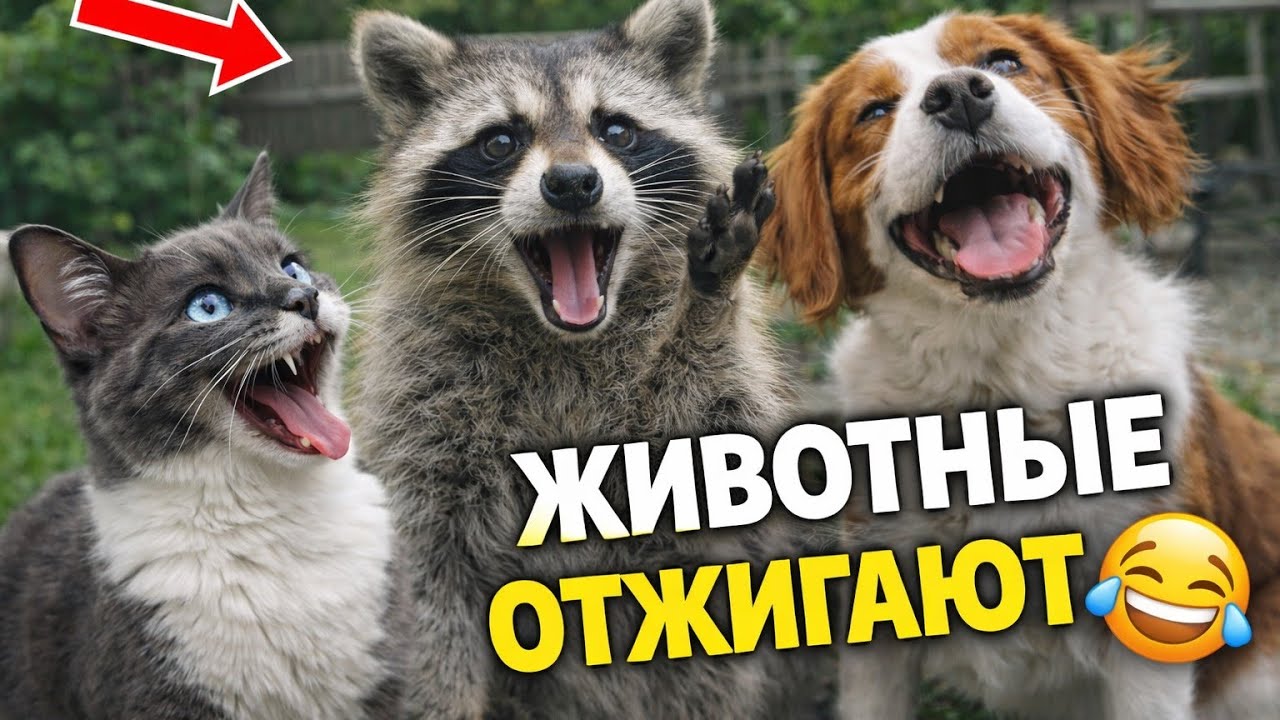 Приколы с ЖИВОТНЫМИ Полный ржач🤣 #приколы #ржач #юмор 