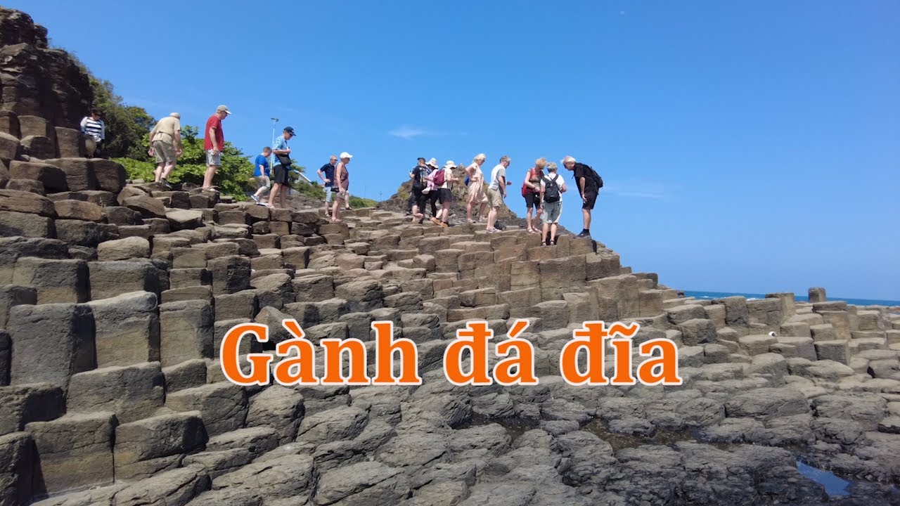 Gành đá đĩa ở Phú Yên.