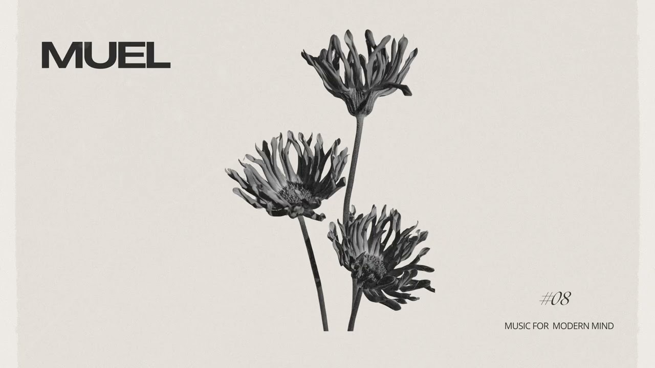 MUEL #08: August Nights Mix | Easy Listening for Late Evenings