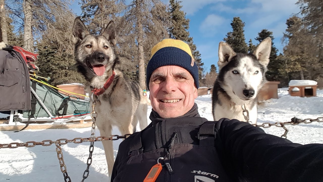 Mushing @ Yukon, Canada 2020