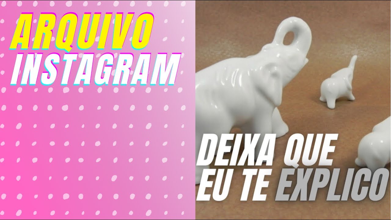 Pode ter animais de porcelana em casa?