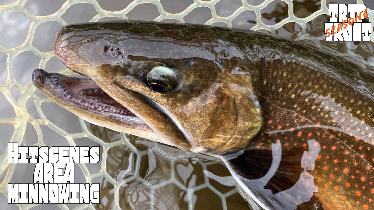 ヒットシーン集 ミノーイングonly エリアトラウト trip trout season6 24.10 【エリアミノーイング/ Forest Park平川】