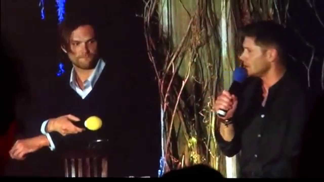 J2 Burcon 2014  -- Dogs, Life Changing
