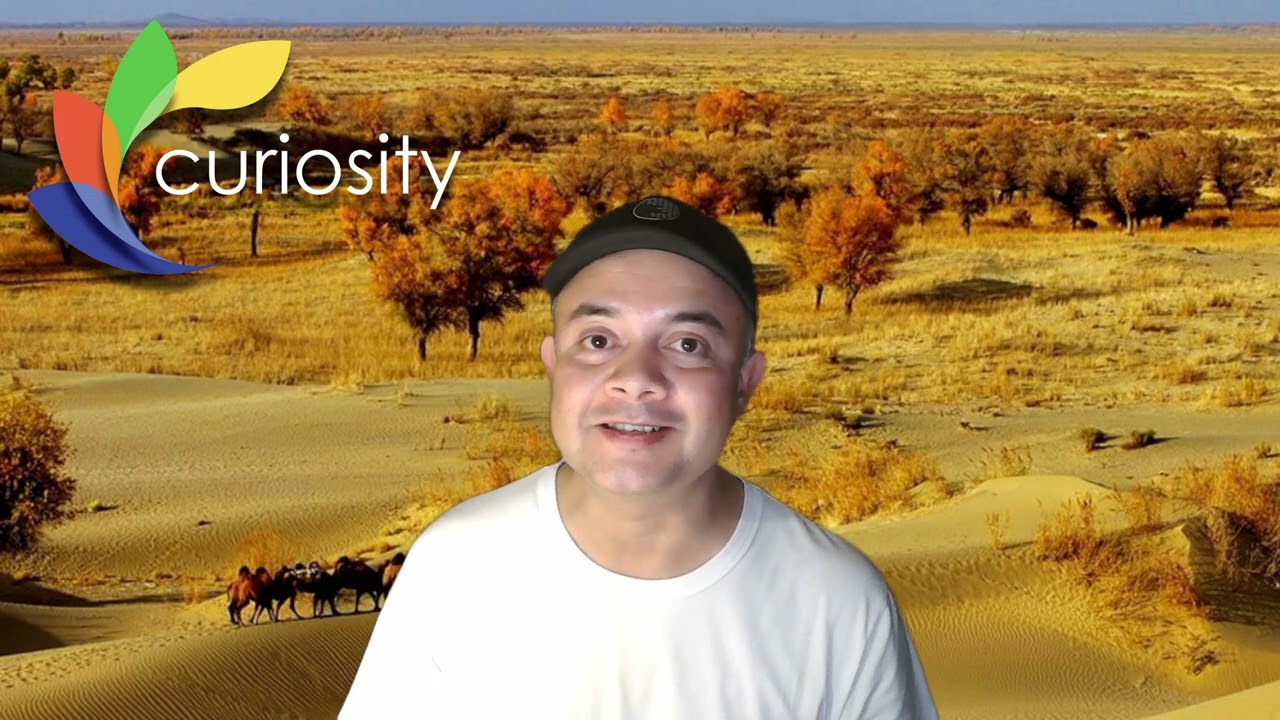 Curiosity: The Science Show