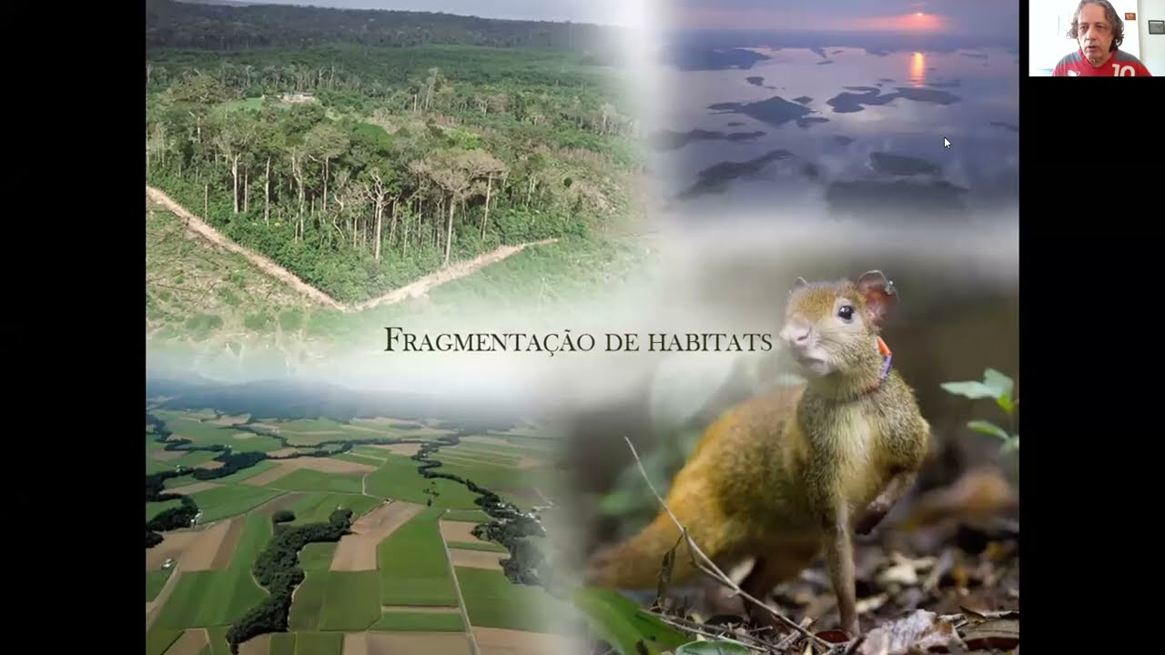 Fragmentação de habitats e a conservação da biodiversidade = Biologia da Conservação