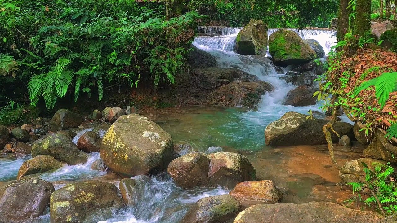 Moonlight River Ambience – Gentle ASMR Water Flow for Better Sleep All Night Long