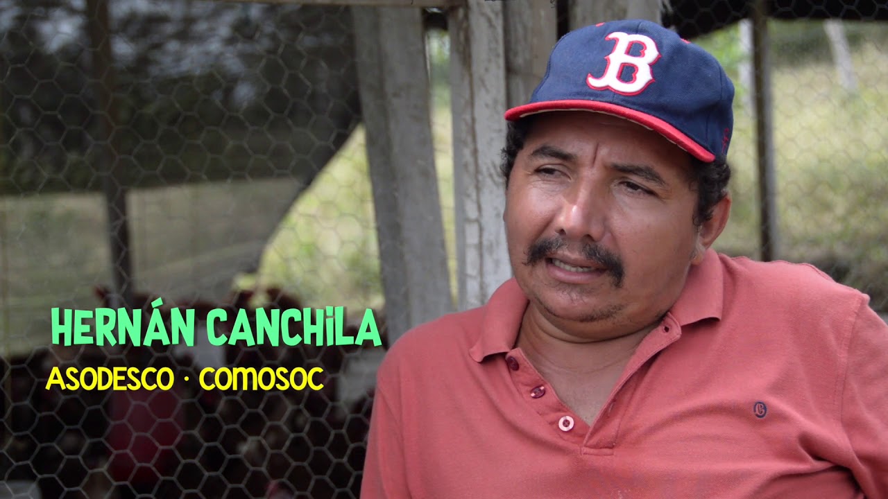 En Colosó Sucre #SalvamosLaTierra