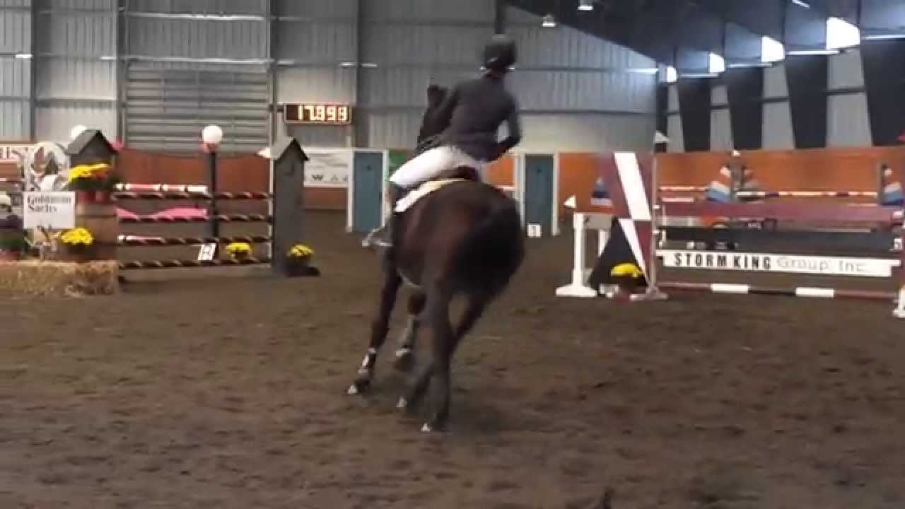 Negative Carry with Elizabeth Sanden-Mulvey