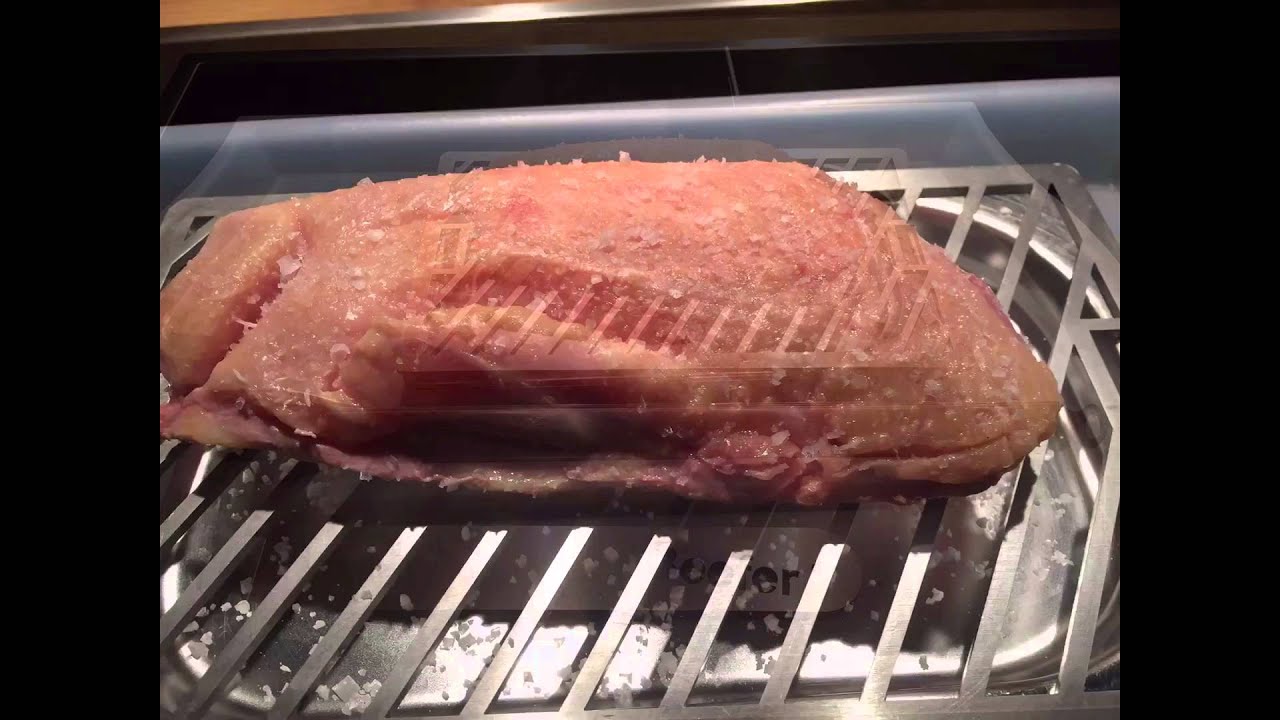 Nr. 5 Mein Steaker V - Gans, ganz einfach per Sous Vide