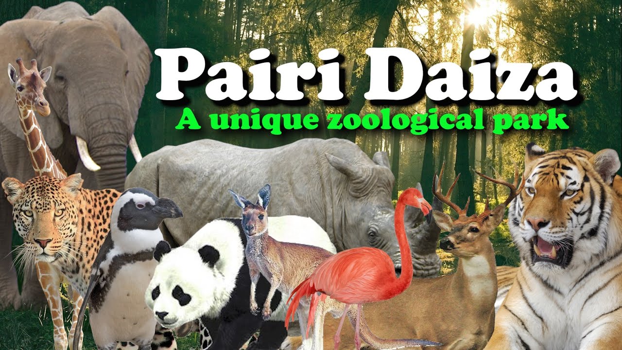 Pairi Daiza | Best zoo in Belgium | Zoo in Europe | A unique zoological park