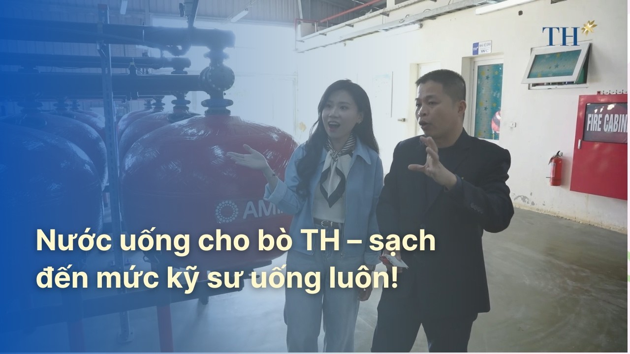 Nước uống cho bò TH – sạch đến mức kỹ sư uống luôn! | TH Hạnh Phúc Đích Thực