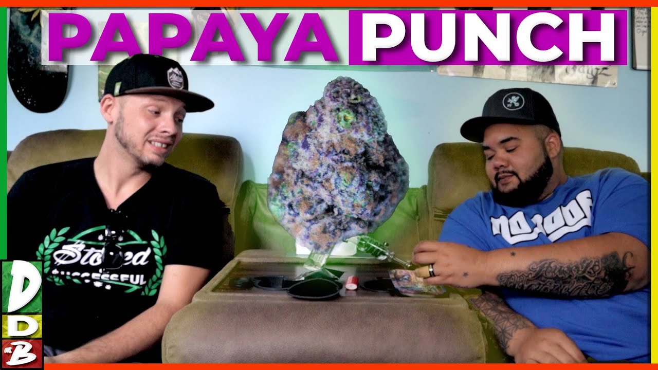 Papaya Punch Review | Dank, Dece, or Boof - CLtv