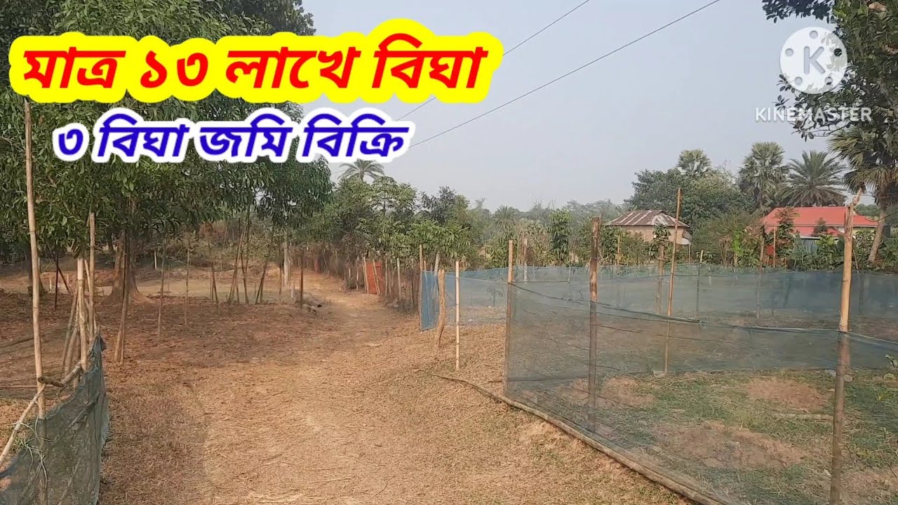 কমদমে ১১২ শতাংশ জমি বিক্রি।। শ্রীপুর গাজীপুর#asset seller#Land sale Sreepur Gazipur