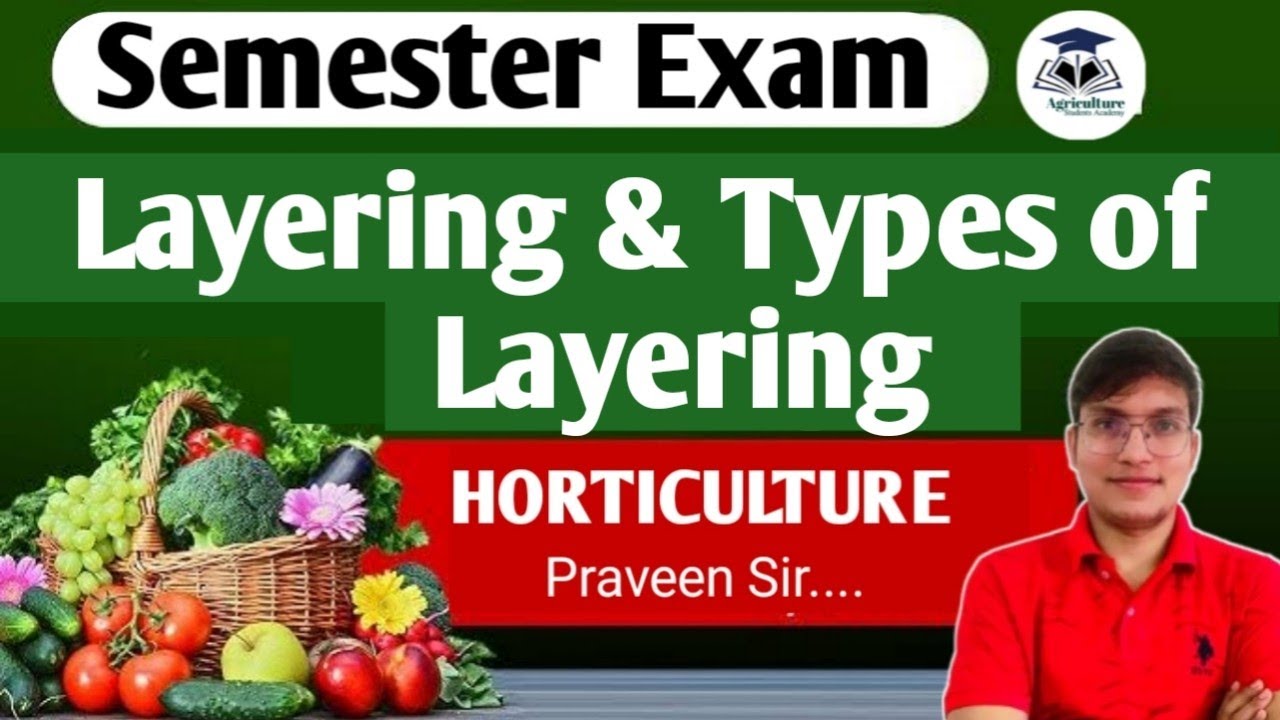Propagation Methods |Layering Method | By:- Praveen Sir