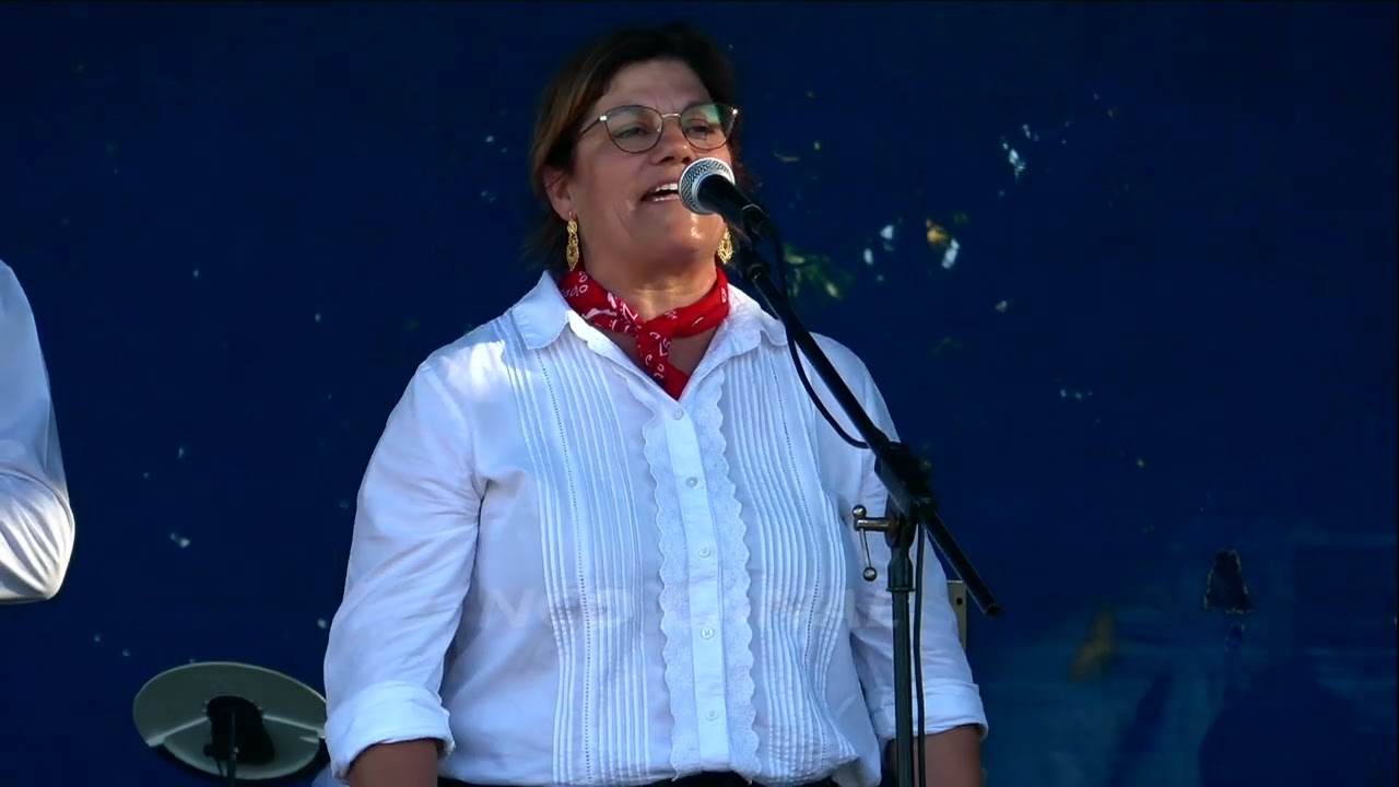 Sons da Concertina de Alquerubim Albergaria-a-Velha, 2025   (06) nt