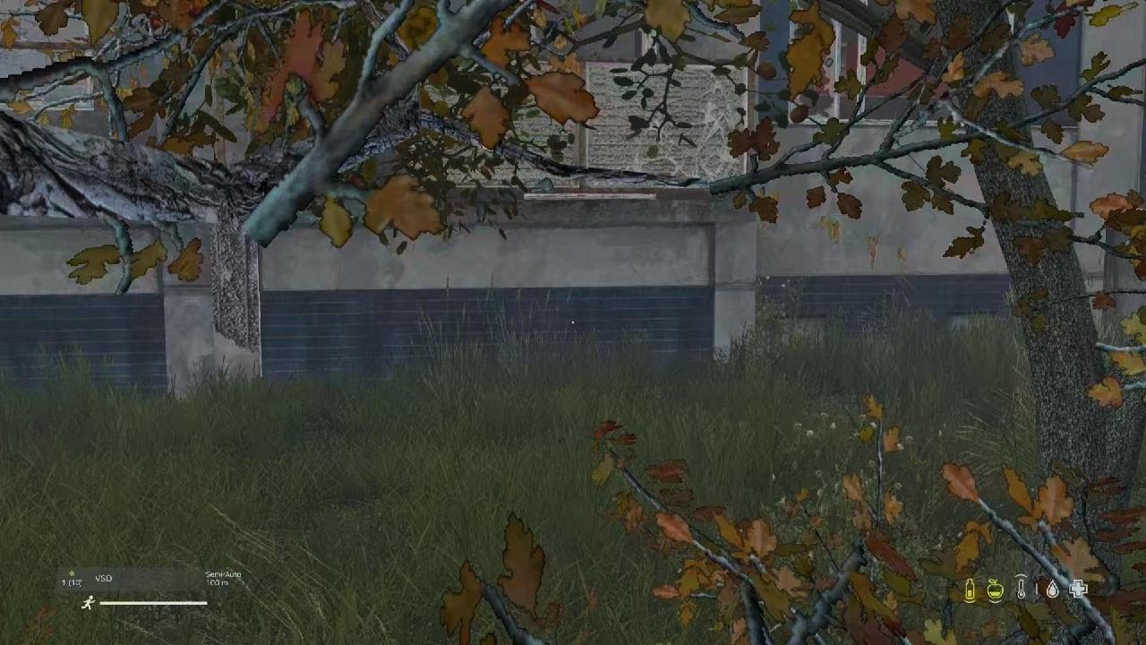 DayZ_20260216130845