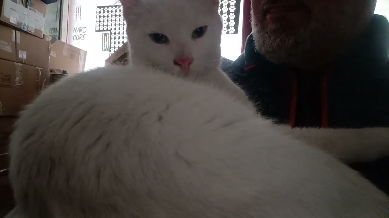Özlemiş 