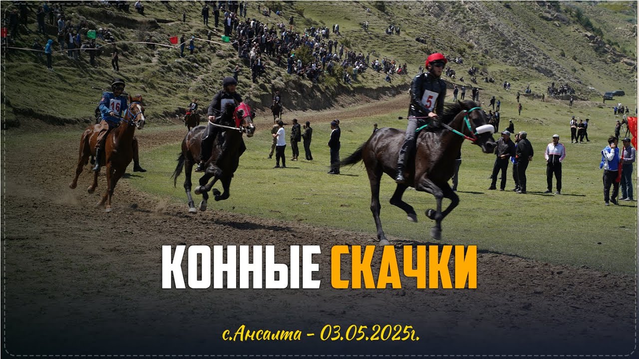 Конно-спортивные состязания, приуроченные к 80-летию Великой Победы состоялись в Ботлихском районе