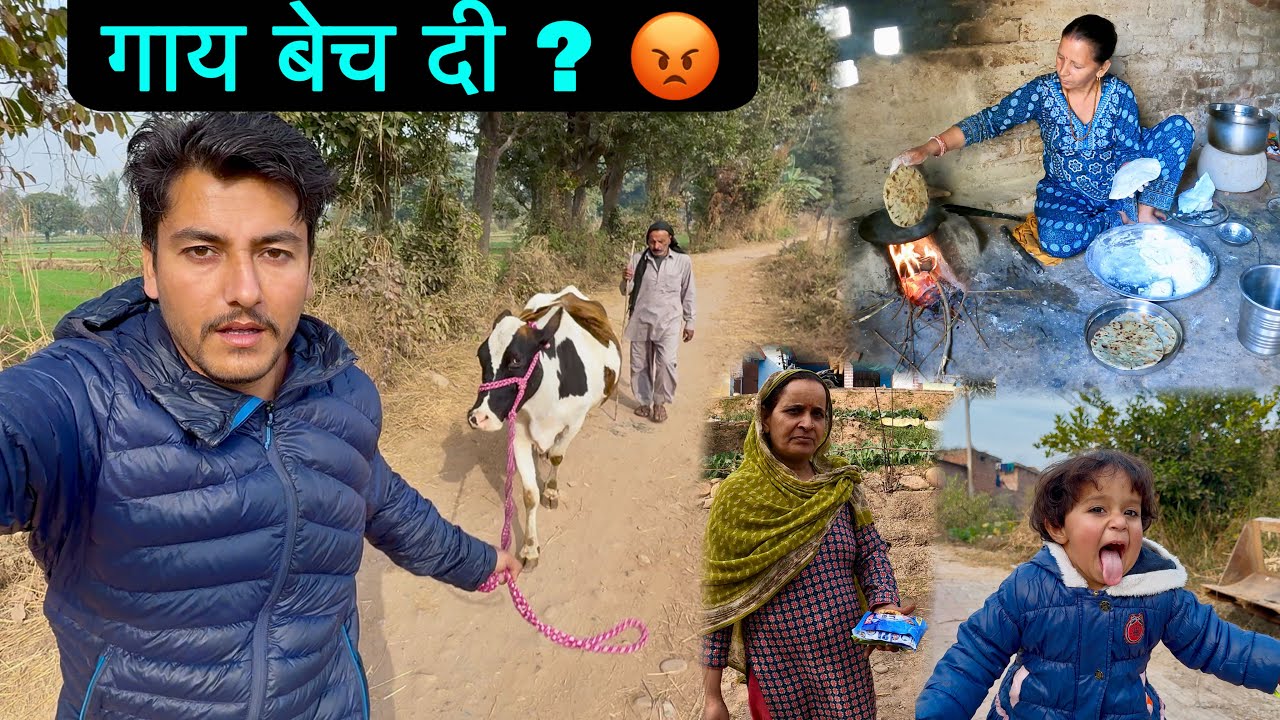 क्या सच में मामा जी ने गाय को बेच दिया? ~ Jammu & Kashmir vlogs