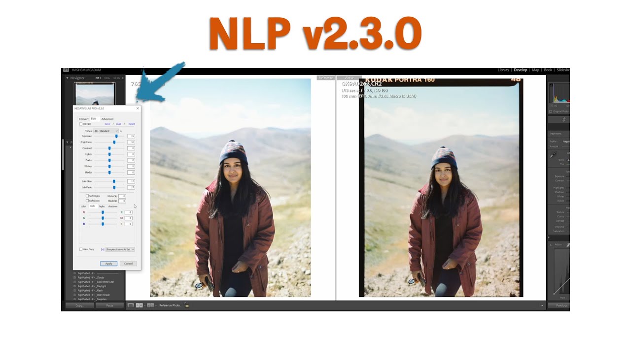 Negative Lab Pro 2.3 Tutorial - Matching Lab Scans
