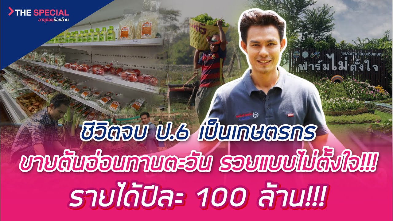 อายุน้อยร้อยล้าน EP260 (The Special) | ชีวิตจบ ป.6 เป็นเกษตร ขายต้นอ่อนทานตะวัน  รายได้ปีละ 100 ล้าน
