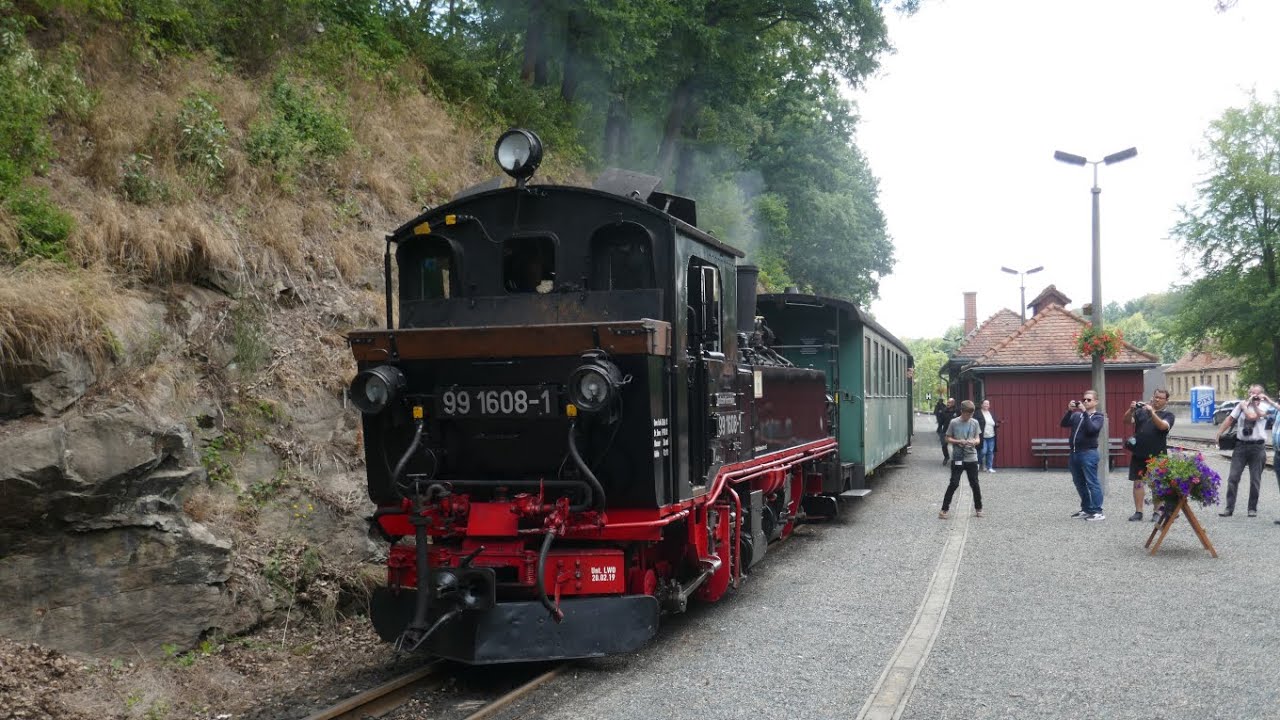IV K-Dampf über dem Weißeritztal | Fotofreitag mit 99 1608-1 | 15.7.2022
